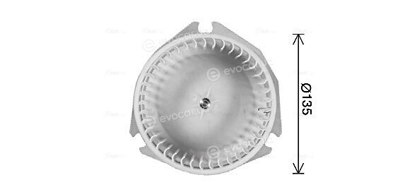 AVA DW8444