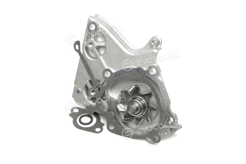 Dolz M156