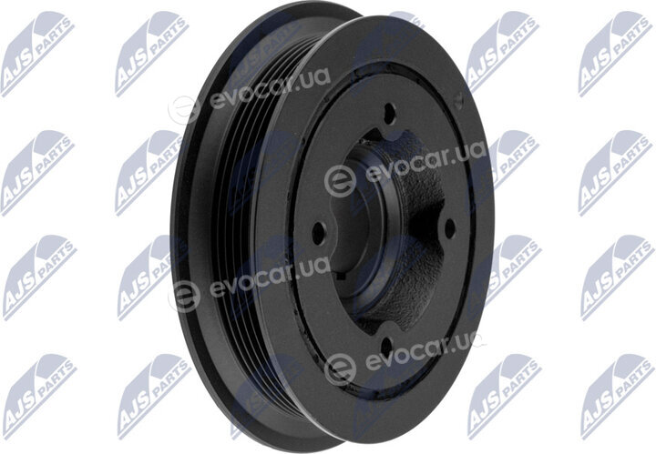 NTY RKP-PL-001