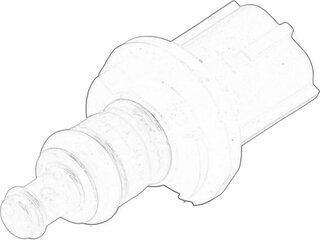 Mopar (PSA / FCA) 5033313AA