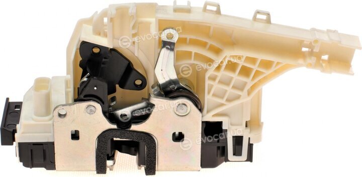 Solgy 305043