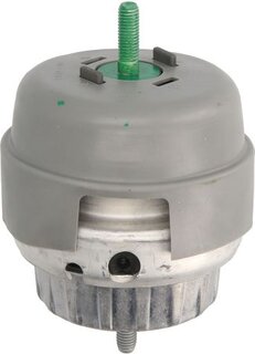 Reinhoch RH11-0078
