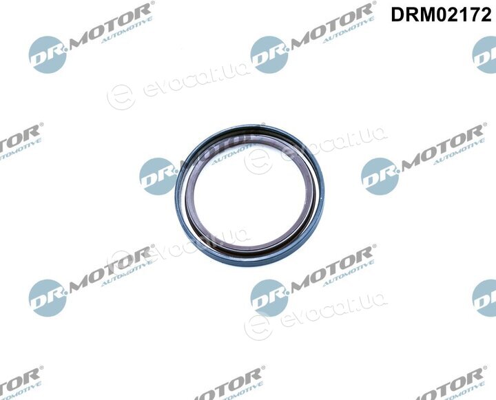 Dr. Motor DRM02172