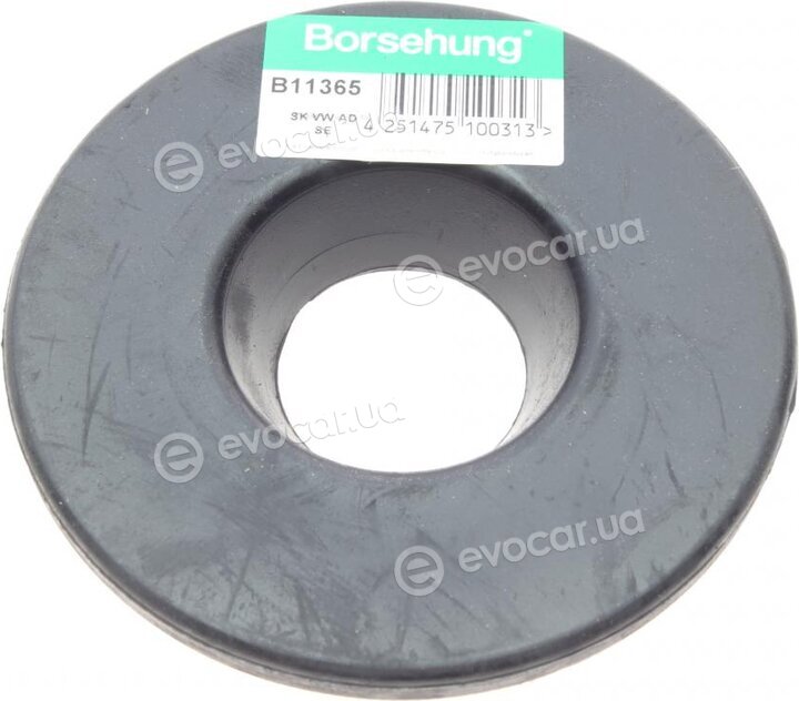 Borsehung B11365