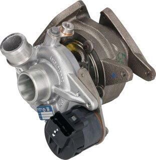 BorgWarner 54399880110