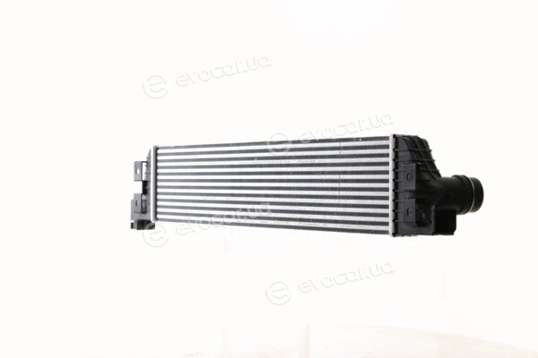 Mahle CI 386 000S