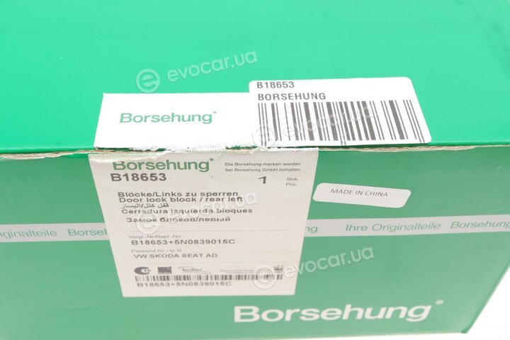 Borsehung B18653