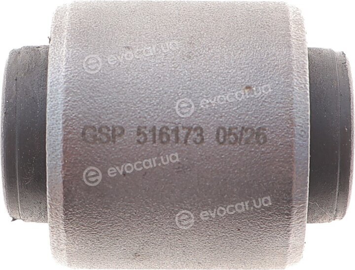 GSP 516173