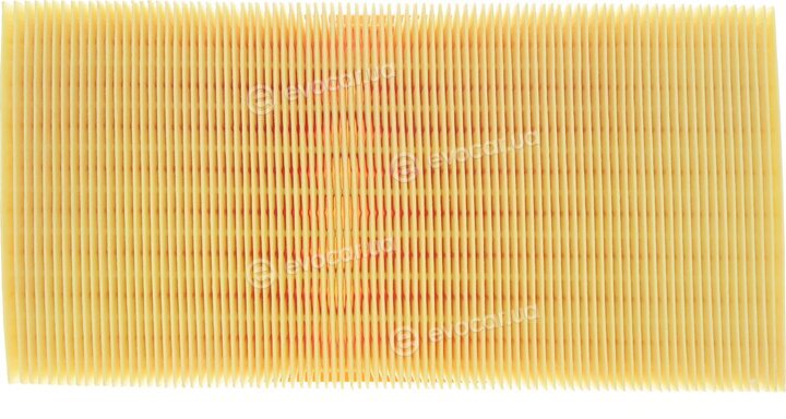 Mahle LX 494