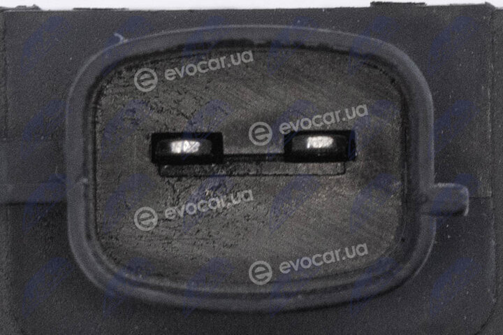 NTY ECZ-HY-504
