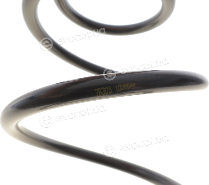 Lesjofors 4015657