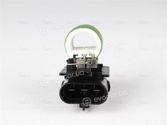 AVA FTR006