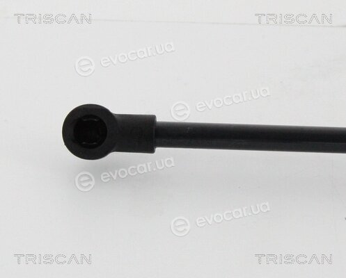 Triscan 8710 28294