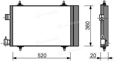 Starline A CNA 5173