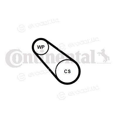 Continental 3PK576 ELAST WP1