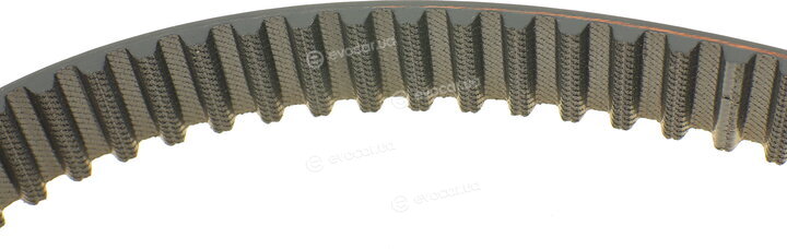 Dayco 94923