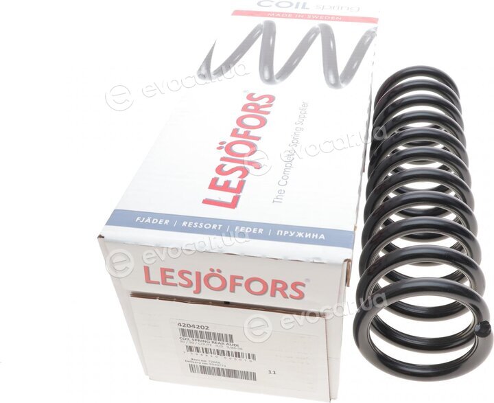 Lesjofors 4204202