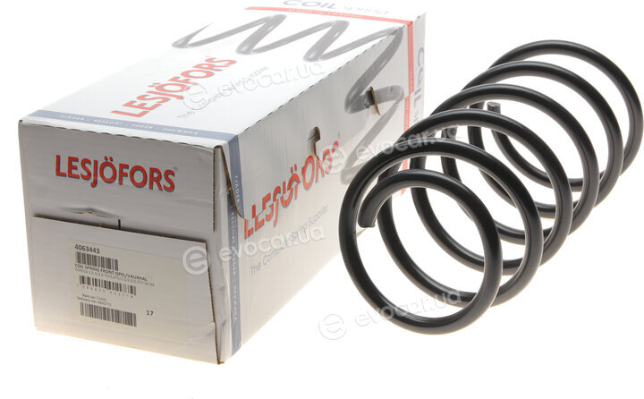 Lesjofors 4063443