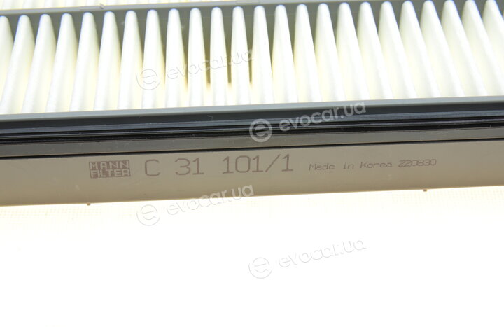 Mann C 31 101/1