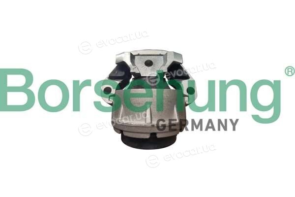 Borsehung B12685