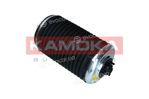 Kamoka 2079003