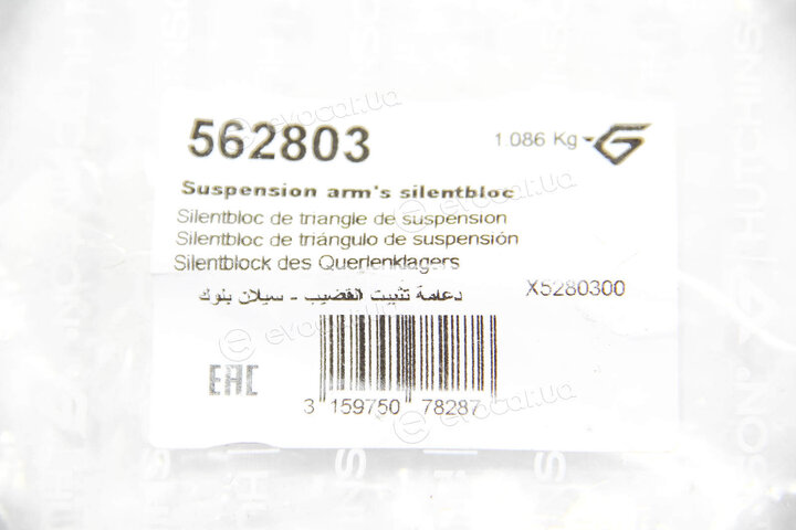 Hutchinson 562803