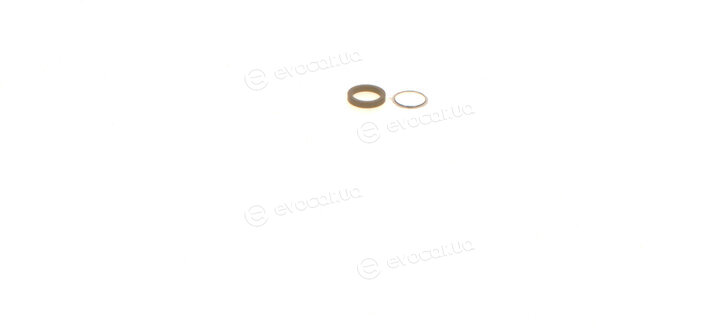 Bosch F 00R J02 177