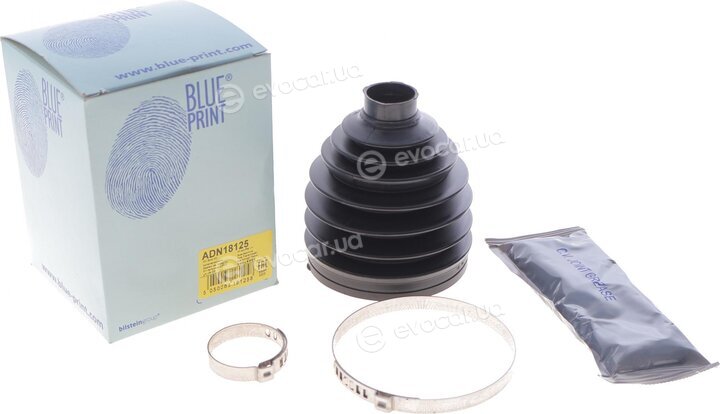 Blue Print ADN18125