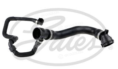 Gates 05-3297