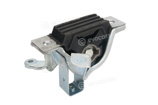 Reinhoch RH11-1071