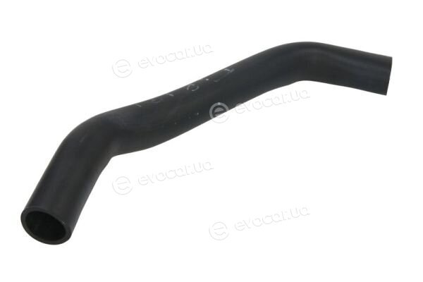 Thermotec DWF088TT
