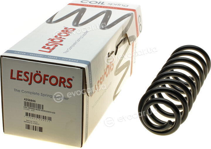 Lesjofors 4256846