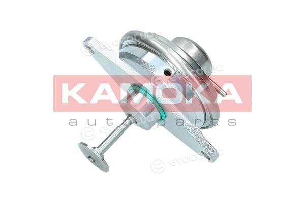 Kamoka 19012