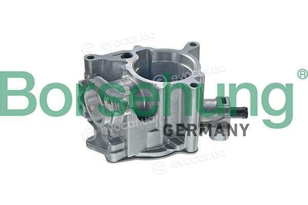 Borsehung B13030
