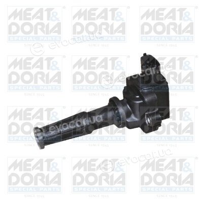 Meat & Doria 10507