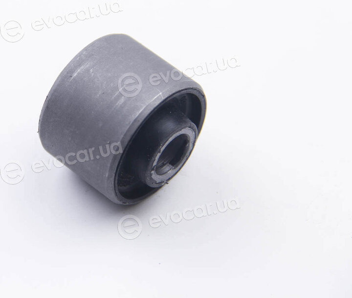 BC Guma 0265