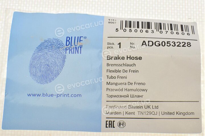 Blue Print ADG053228