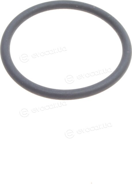 Elring 595.180