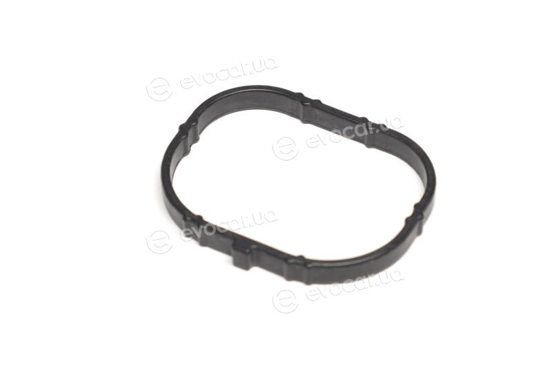 Corteco 450384P