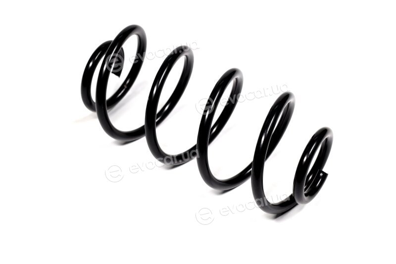 Lesjofors 4214213