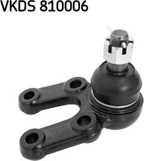 SKF VKDS 810006