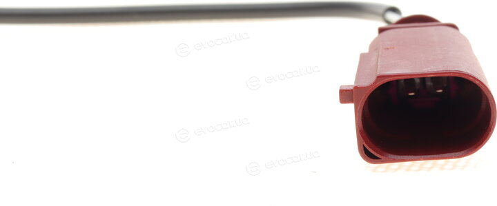 Solgy 115067