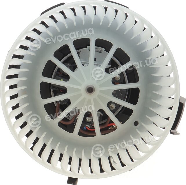 AIC 54125
