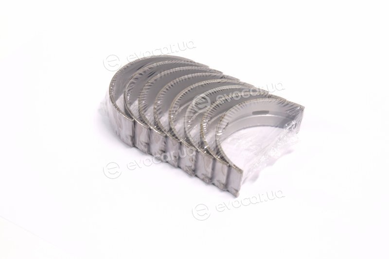 Kolbenschmidt MS-1219GP STD