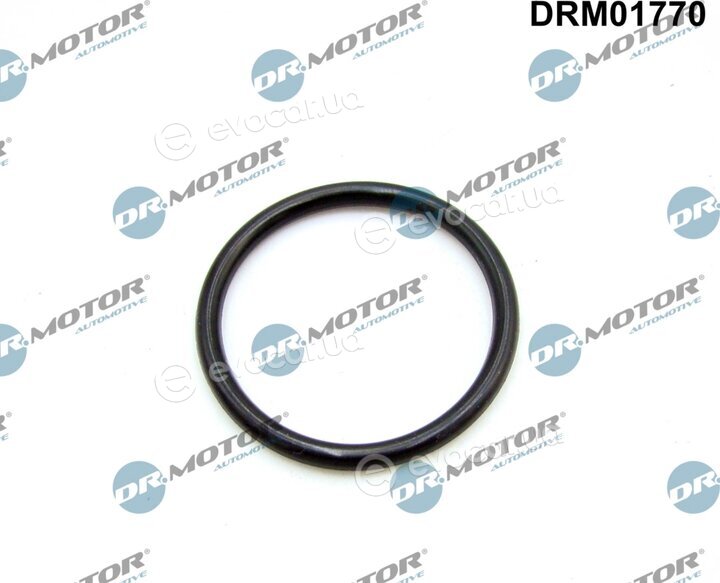 Dr. Motor DRM01770