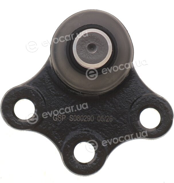 GSP S080290