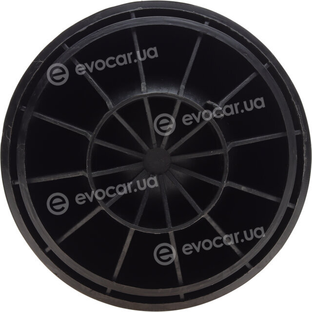 Solgy 224001