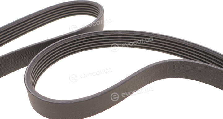 Continental 6PK2080K1