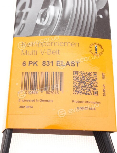 Continental 6PK831 ELAST