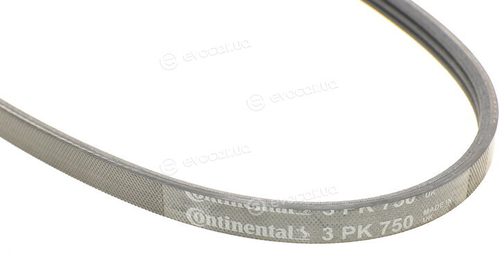 Continental 3PK750